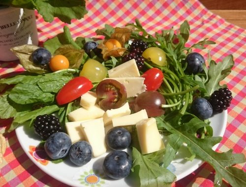 Bio Physalis oder Kapstachelbeere von bioland (8)