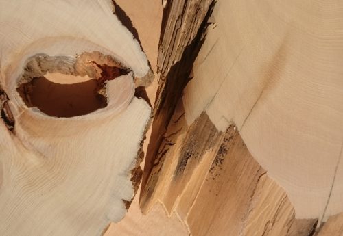 Huon Pine Edles tasmanisches Hart Holz Kiefer aus Australien