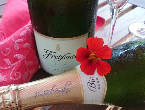 Bio Sekt Secco Cava 0,75l von Freixenet Dekorativ