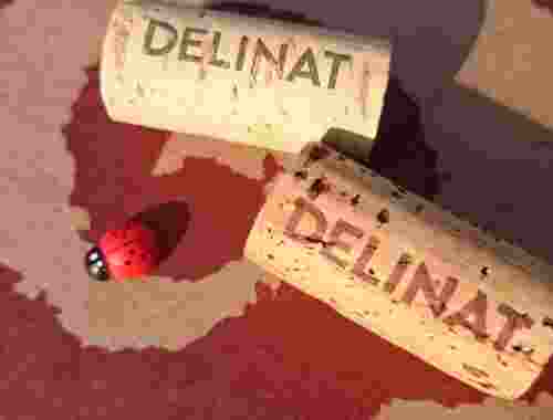 Bio Wein von Delinat Wein Korken