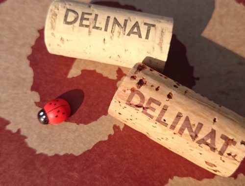 Bio Wein von Delinat Wein Korken