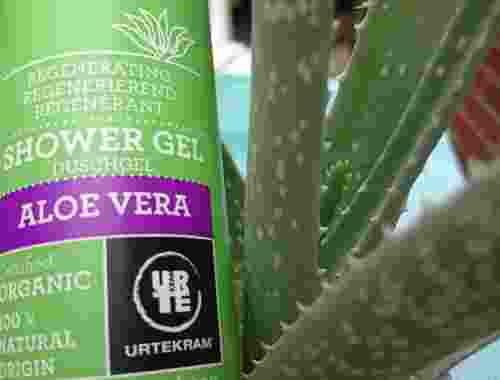 Duschgel Aloe Vera Shower Gel oragnic von Urtekram