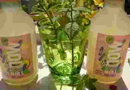 Erfrischungsgetränk 100% organic Paradise Mint now by Lammsbräu (2)