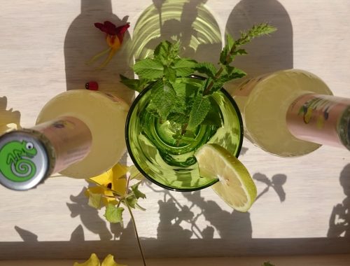 Erfrischungsgetränk 100% organic Paradise Mint now by Lammsbräu (3)