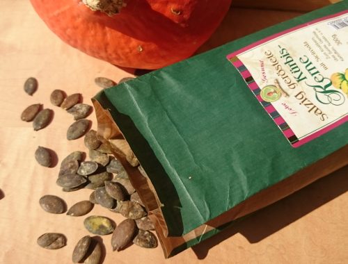 Kürbiskerne salzig geröstet mit Steinsalz 300g von Lebe Gesund Lebe Gesund Kürbiskerne dekorativ (2)