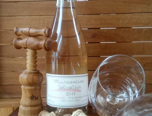 Perlwein Mussantino Selvatico Jahrgang 2017 von Fattoria La Vialla Perlwein mit Weingläsern dekorativ (1)