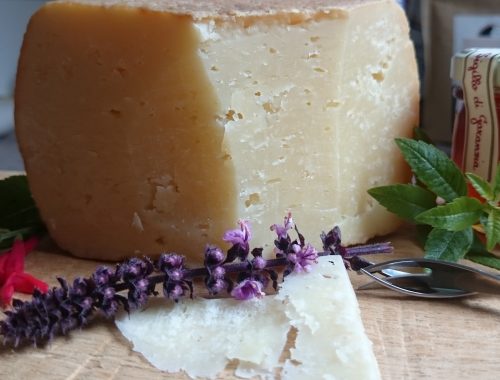 Schafskäse Pecorino Gran Riserva 24 Monate von Fattoria La Vialla Käse dekorativ angerichtet