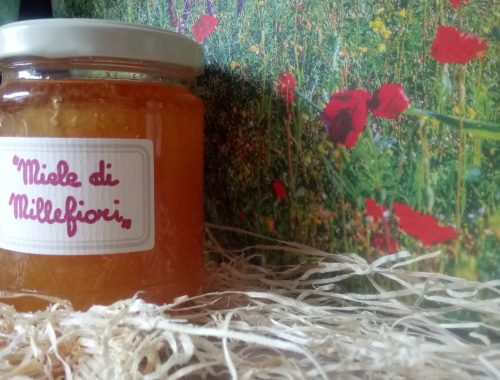 Tausendblütenhonig Miele di Millefiori von Fattoria La Vialla Honig im Glass von Fattoria La Vialla