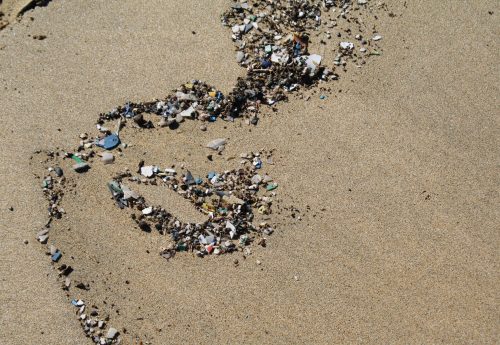 Plastik – das große Problem (1)