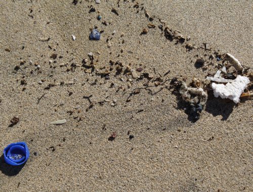 Plastik – das große Problem (2)