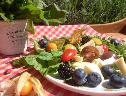 Bio Produkte kann ich mir nicht leisten Teller mit Bio Produkten