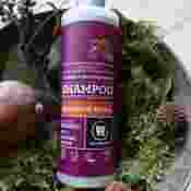 Shampoo für strapaziertes Haar, Nordische Beeren mit Sanddorn, Heidelbeeren, Preiselbeeren, organic, Urtekram Shampoo dekorativ