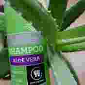 250 ml Aloe Vera Shampoo für trockenes Haar, certified organic von Urtekram--Shampoo certified organic