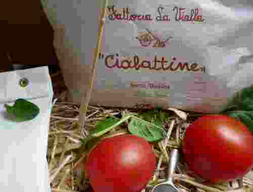 Glutenfreie Ciabattine, Knusprige Cracker von der Fattoria La Vialla-- Glutenfreie und vegane Ciabattine