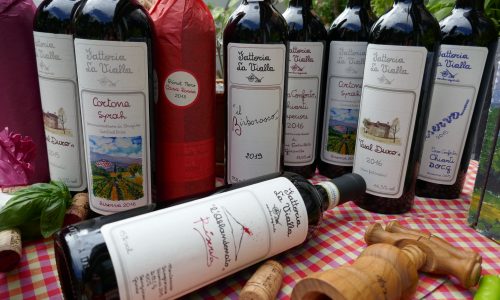 Rotweine der Fattoria La Vialla-- (14)